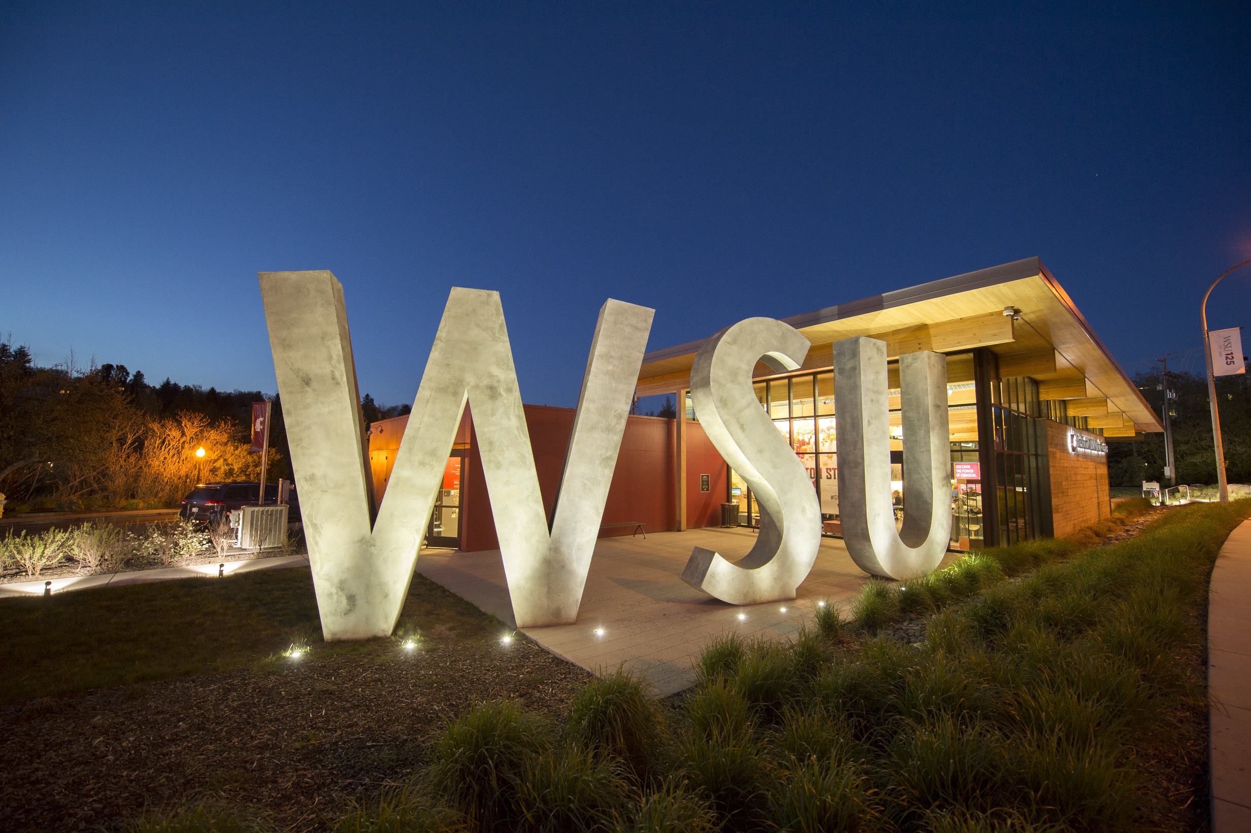 Webinar Washington State University Online MBA Spring 2022 10