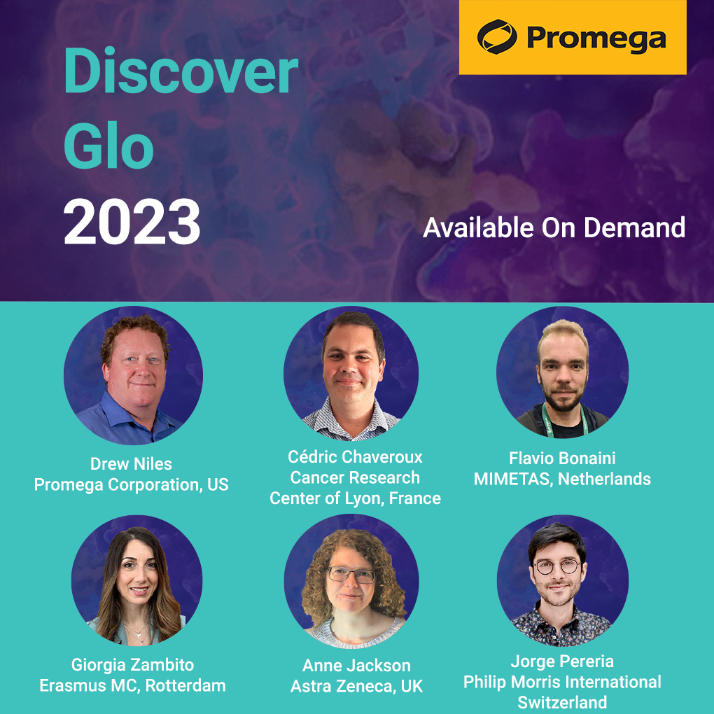 2023-discover-glo-series