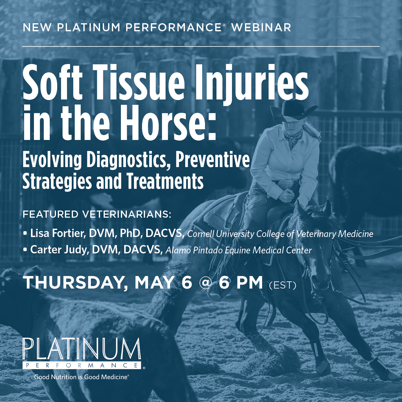 Soft Tissue Injuries in the Horse Evolving Diagnostics, Preventive