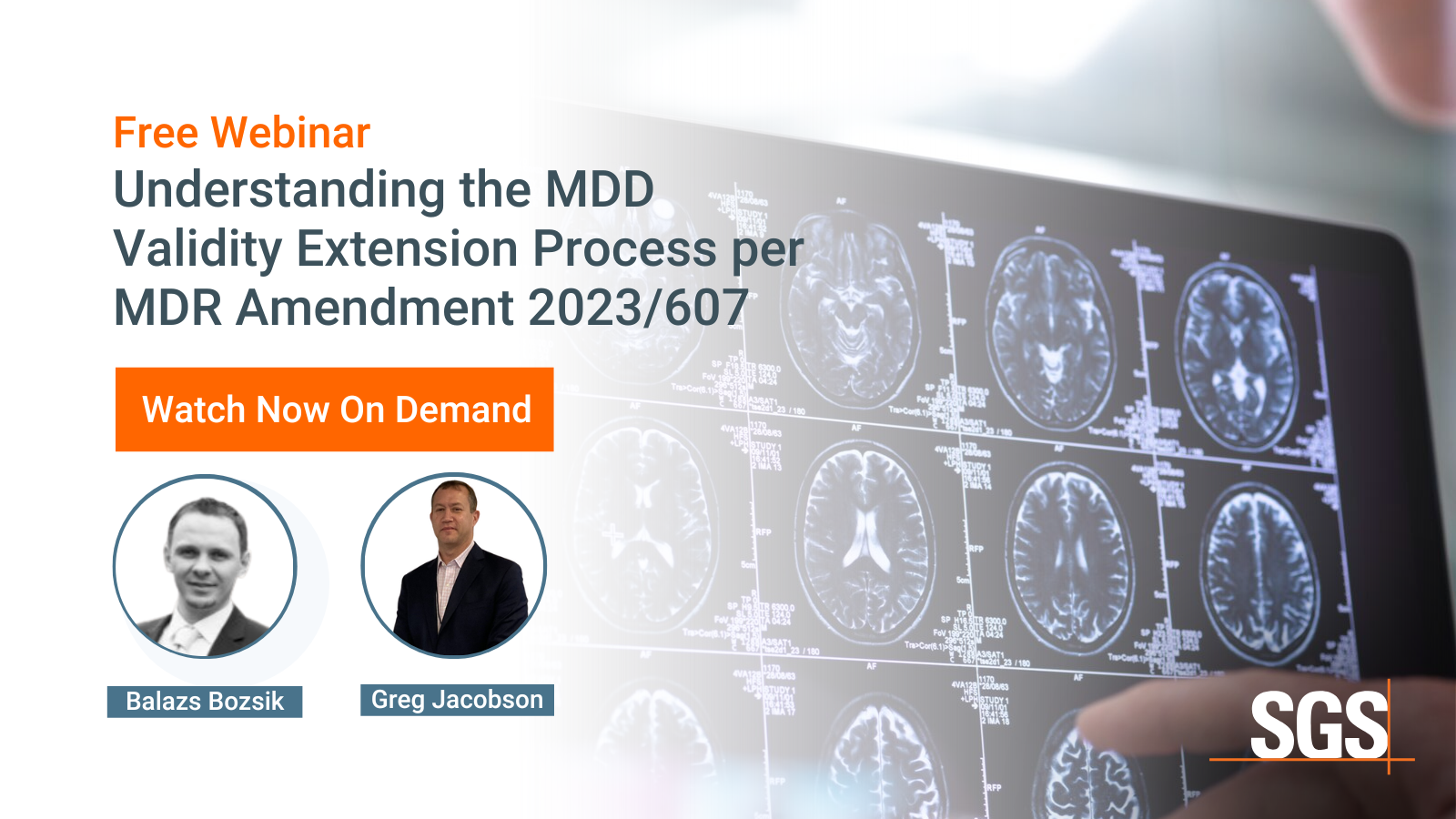 Understanding The Mdd Validity Extension Process Per Mdr Amendment 2023 607