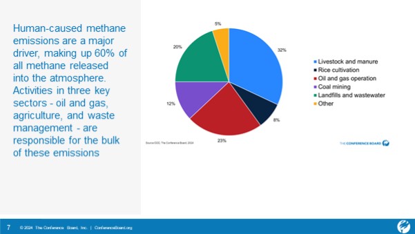 Importance of methane reduction
