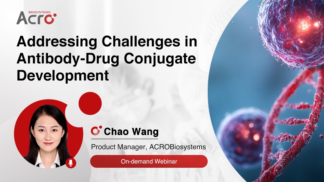 webinar